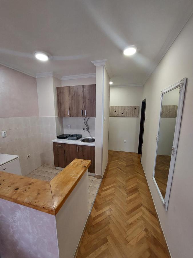 Apartmani Jasmin نوفي ساد المظهر الخارجي الصورة